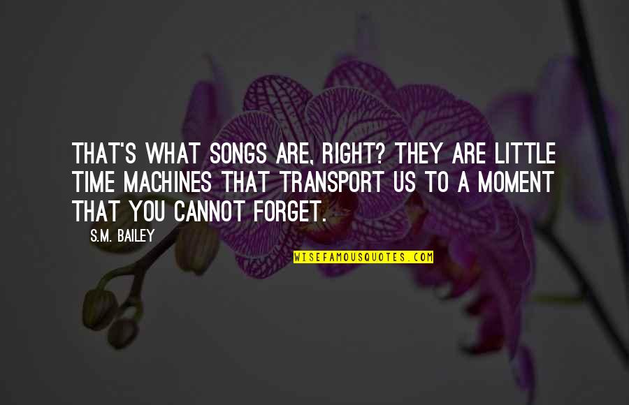 Cannot Forget Quotes By S.M. Bailey: That's what songs are, right? They are little