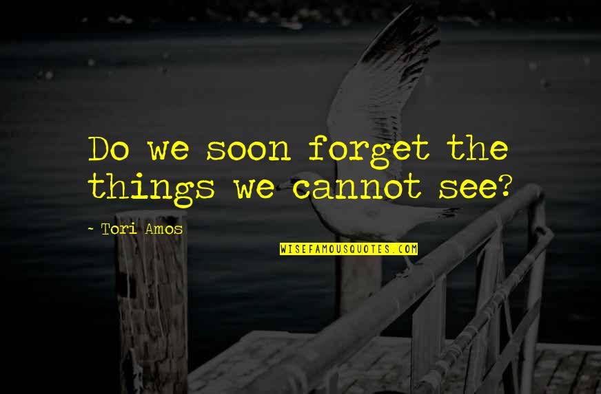 Cannot Forget Quotes By Tori Amos: Do we soon forget the things we cannot