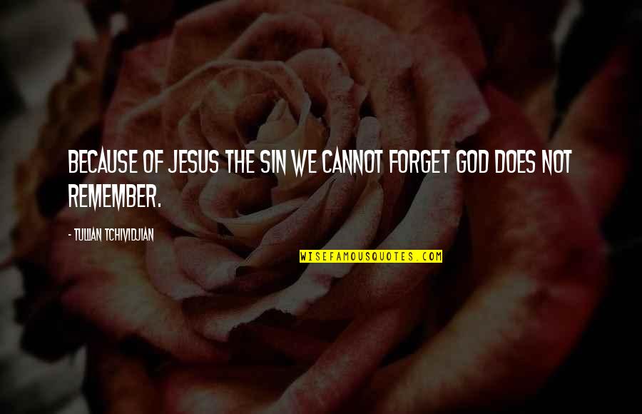 Cannot Forget Quotes By Tullian Tchividjian: Because of Jesus the sin we cannot forget