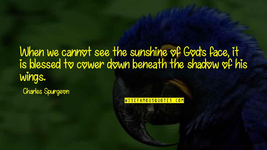 Cannot See Quotes By Charles Spurgeon: When we cannot see the sunshine of God's