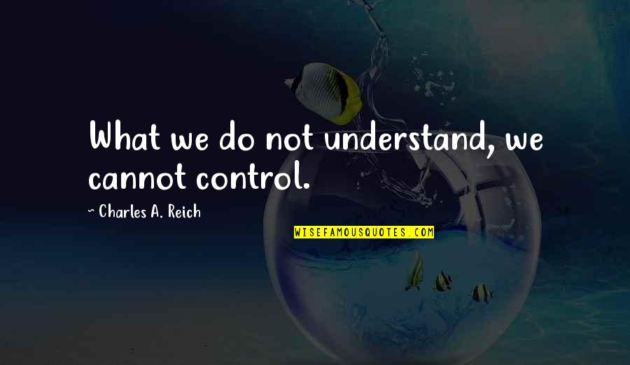Cannot Understand Quotes By Charles A. Reich: What we do not understand, we cannot control.