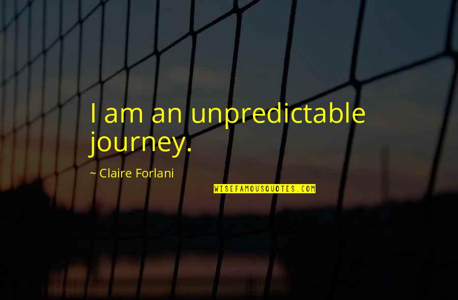 Canonised Quotes By Claire Forlani: I am an unpredictable journey.