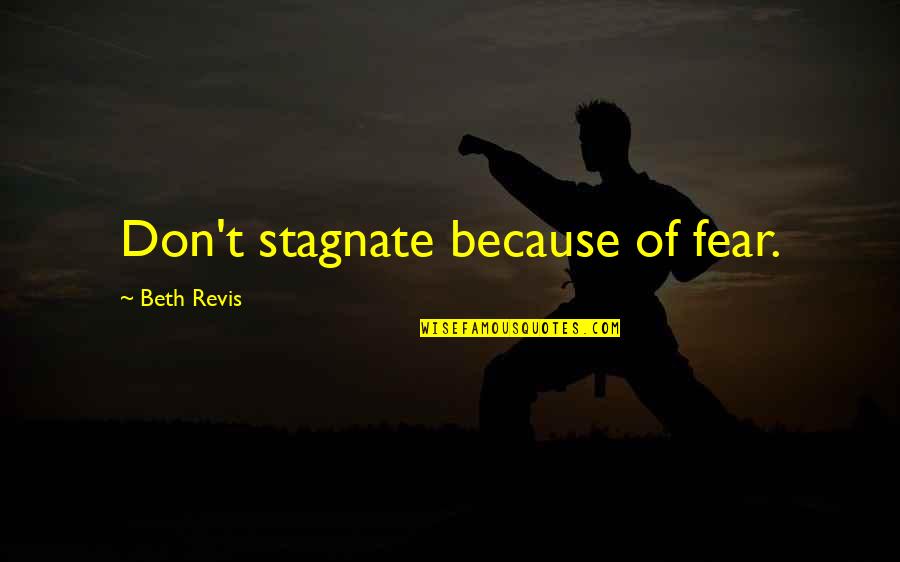 Canonization By John Quotes By Beth Revis: Don't stagnate because of fear.