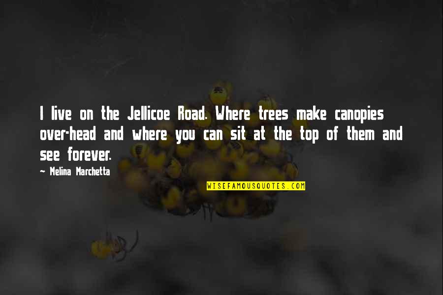 Canopies Quotes By Melina Marchetta: I live on the Jellicoe Road. Where trees