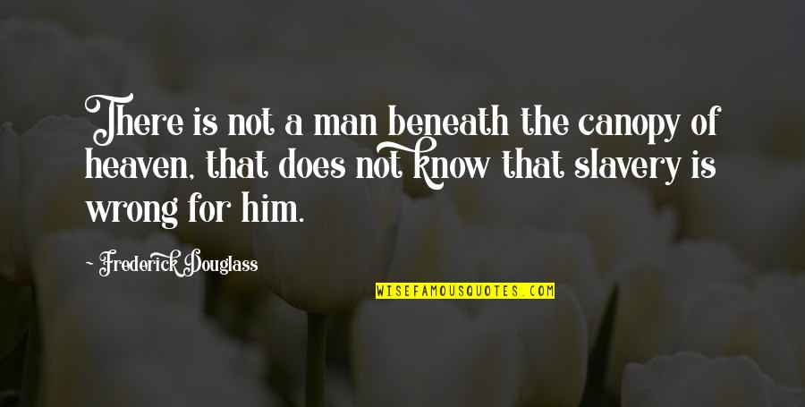 Canopy's Quotes By Frederick Douglass: There is not a man beneath the canopy
