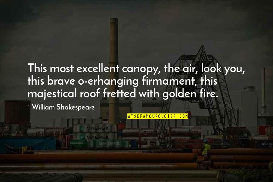 Canopy's Quotes By William Shakespeare: This most excellent canopy, the air, look you,