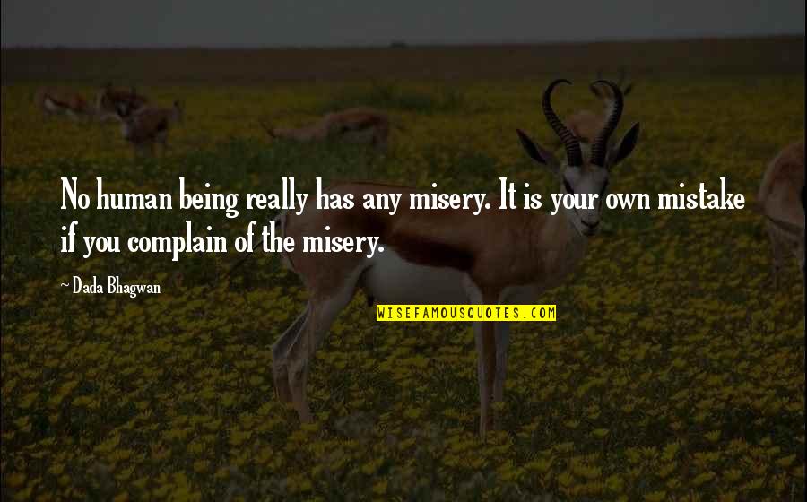 Cansar Quotes By Dada Bhagwan: No human being really has any misery. It Cansar Quotes By Dada Bhagwan: No human being really has any misery. It