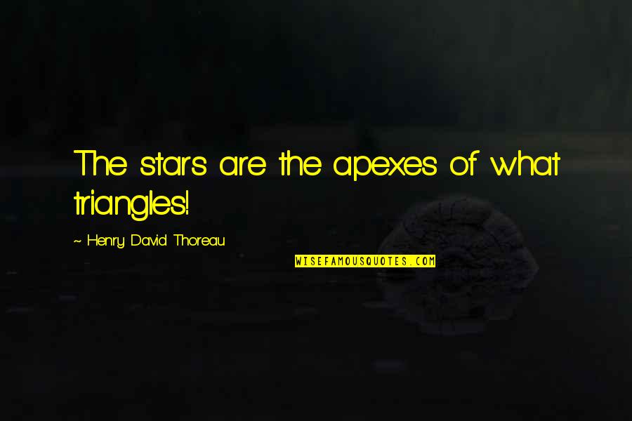 Can't Be Bothered With Anyone Quotes By Henry David Thoreau: The stars are the apexes of what triangles!