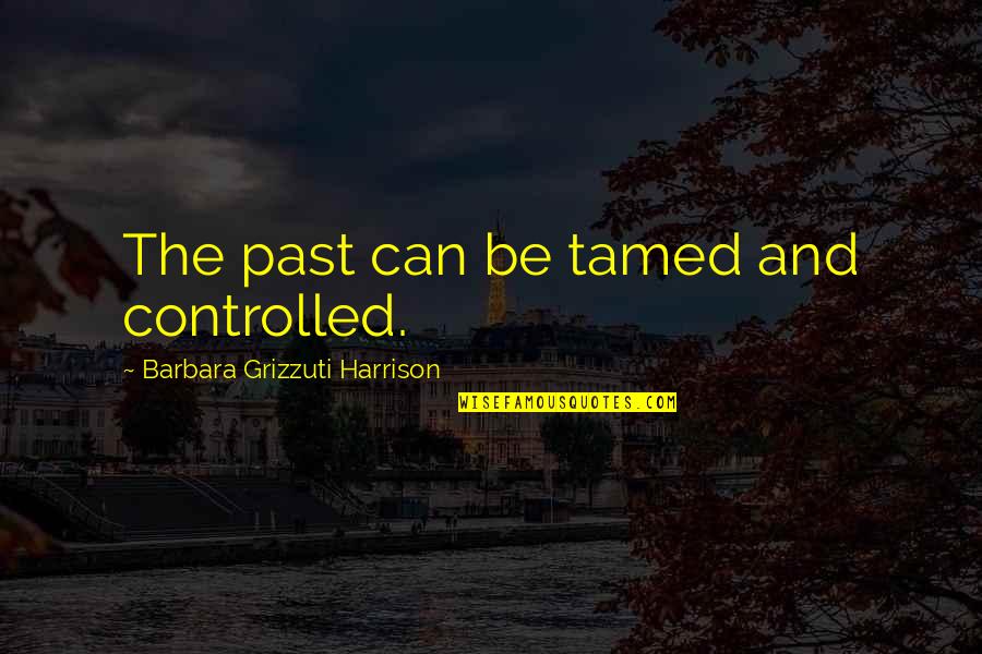 Can't Be Tamed Quotes By Barbara Grizzuti Harrison: The past can be tamed and controlled.