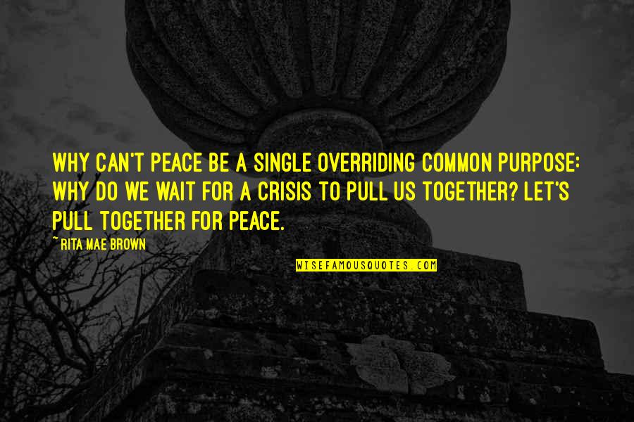 Can't Be Together Quotes By Rita Mae Brown: Why can't peace be a single overriding common