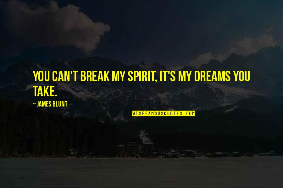 Can't Break My Spirit Quotes By James Blunt: You can't break my spirit, it's my dreams