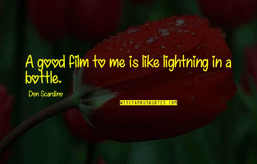 Can't Change Him Quotes By Don Scardino: A good film to me is like lightning