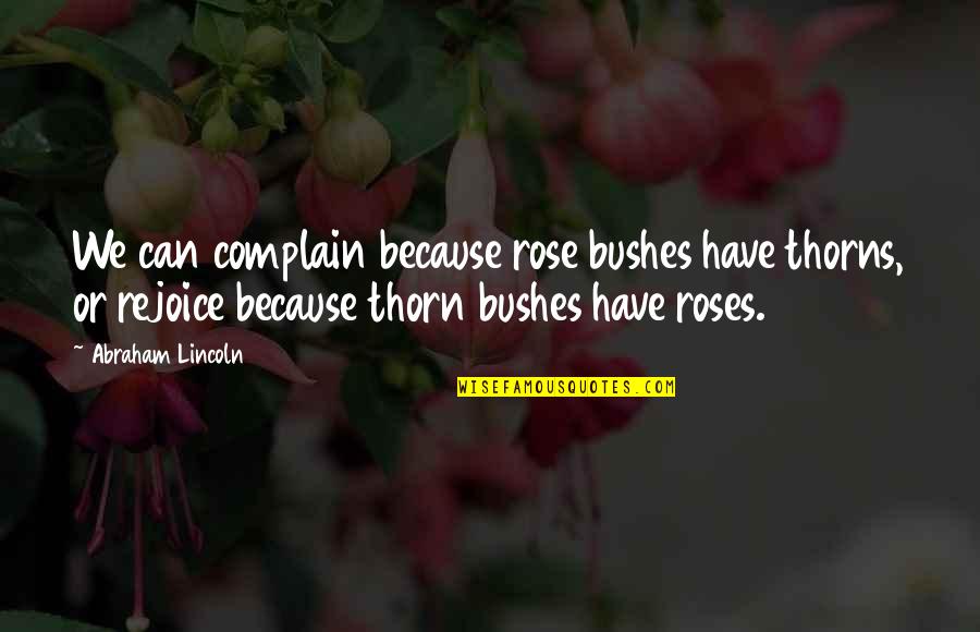 Can't Complain Quotes By Abraham Lincoln: We can complain because rose bushes have thorns,