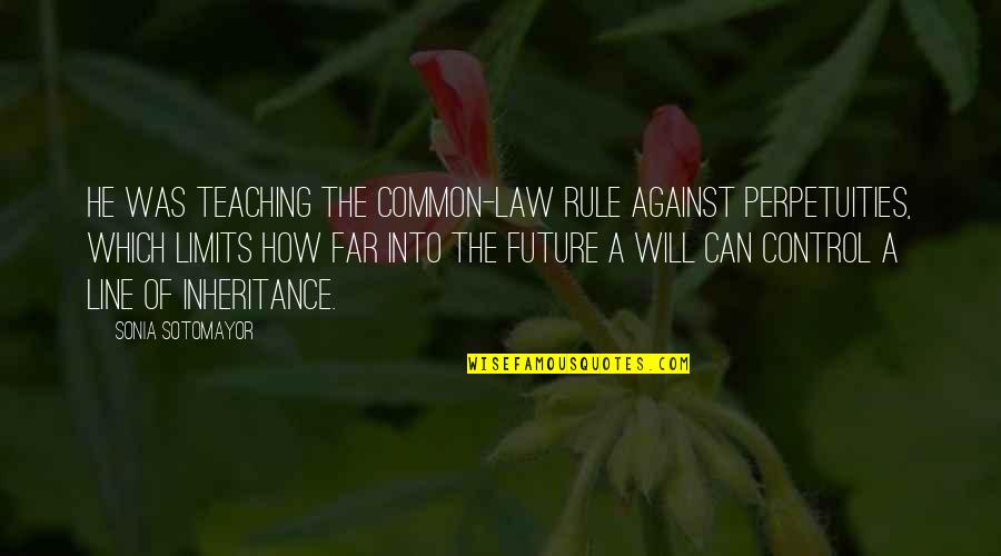 Can't Control The Future Quotes By Sonia Sotomayor: He was teaching the common-law rule against perpetuities,