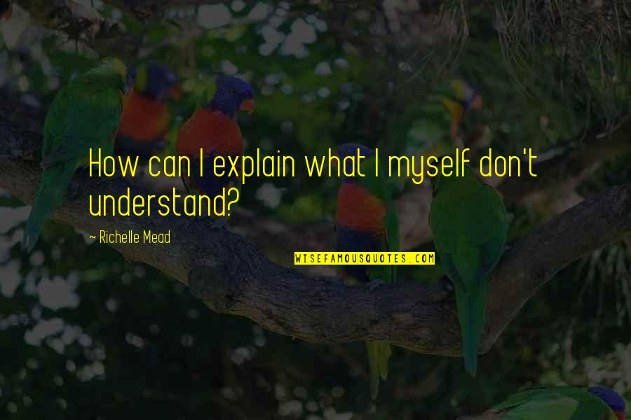 Can't Explain Quotes By Richelle Mead: How can I explain what I myself don't