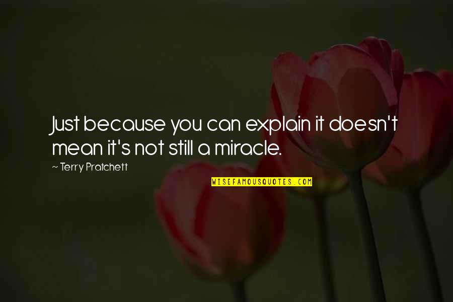 Can't Explain Quotes By Terry Pratchett: Just because you can explain it doesn't mean