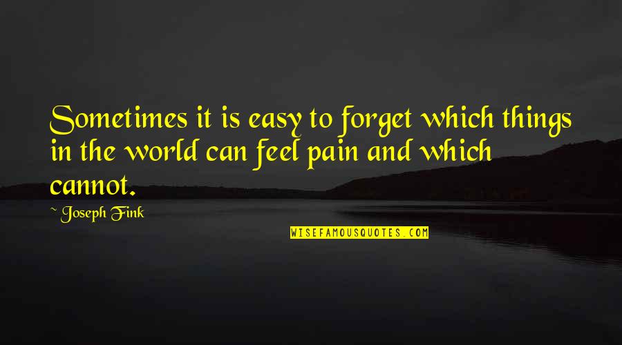 Can't Feel Pain Quotes By Joseph Fink: Sometimes it is easy to forget which things