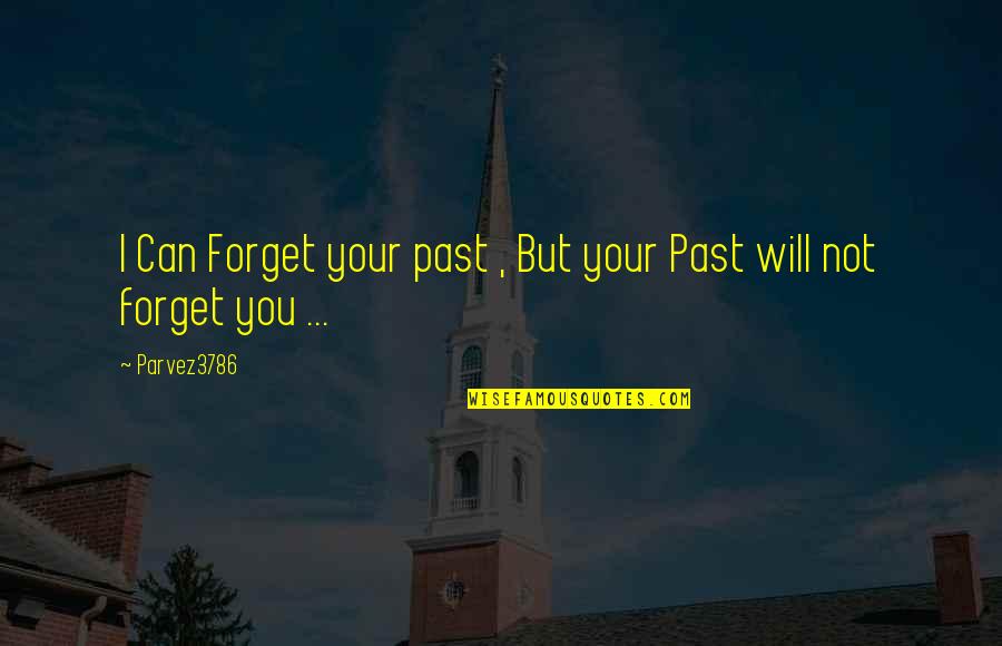 Can't Forget The Past Quotes By Parvez3786: I Can Forget your past , But your