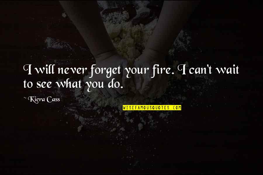 Can't Forget You Ever Quotes By Kiera Cass: I will never forget your fire. I can't