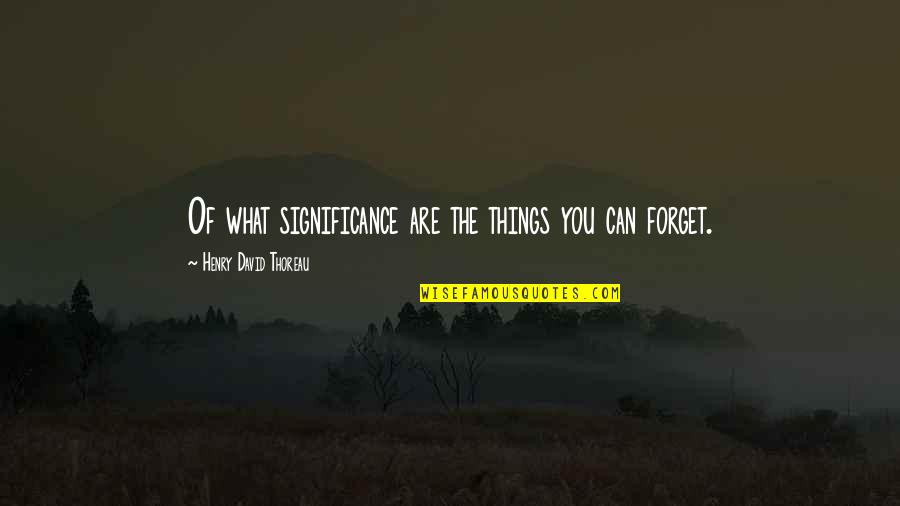 Can't Forget Your Ex Quotes By Henry David Thoreau: Of what significance are the things you can