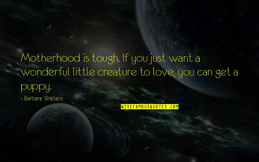 Can't Get Over Love Quotes By Barbara Walters: Motherhood is tough. If you just want a