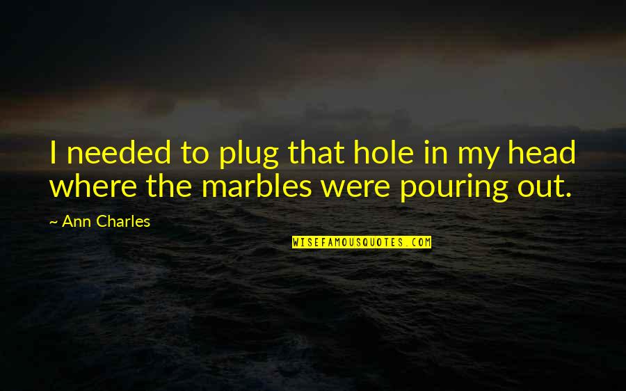 Cant Hurt Me Quote Quotes By Ann Charles: I needed to plug that hole in my