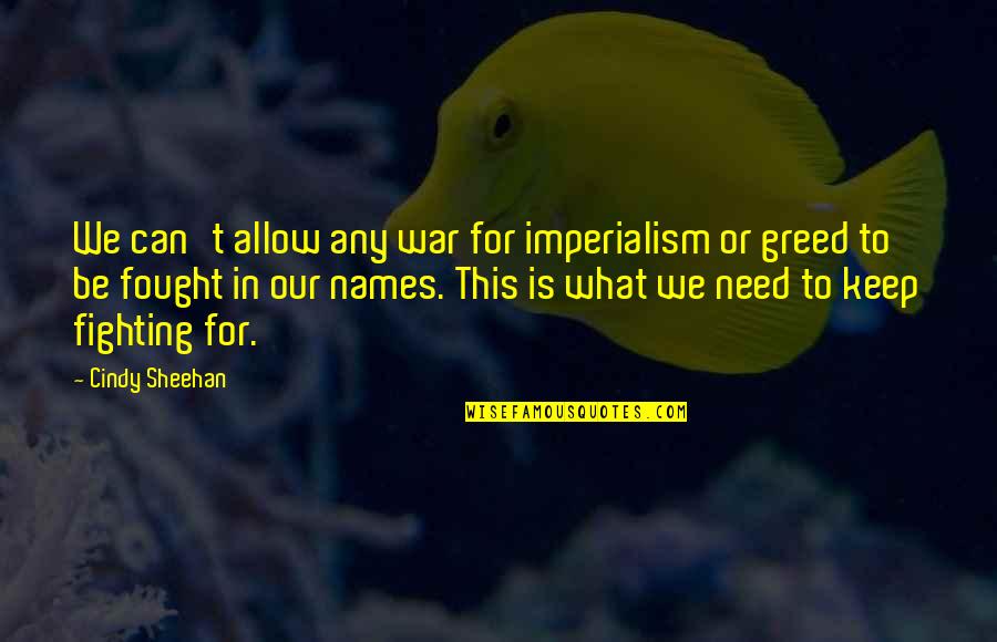 Can't Keep Fighting Quotes By Cindy Sheehan: We can't allow any war for imperialism or