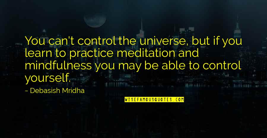 Can't Learn Quotes By Debasish Mridha: You can't control the universe, but if you Can't Learn Quotes By Debasish Mridha: You can't control the universe, but if you