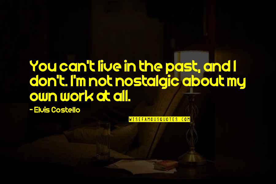 Can't Live In The Past Quotes By Elvis Costello: You can't live in the past, and I