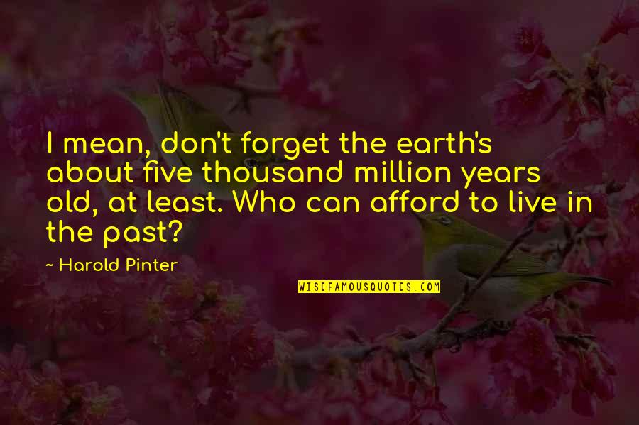 Can't Live In The Past Quotes By Harold Pinter: I mean, don't forget the earth's about five