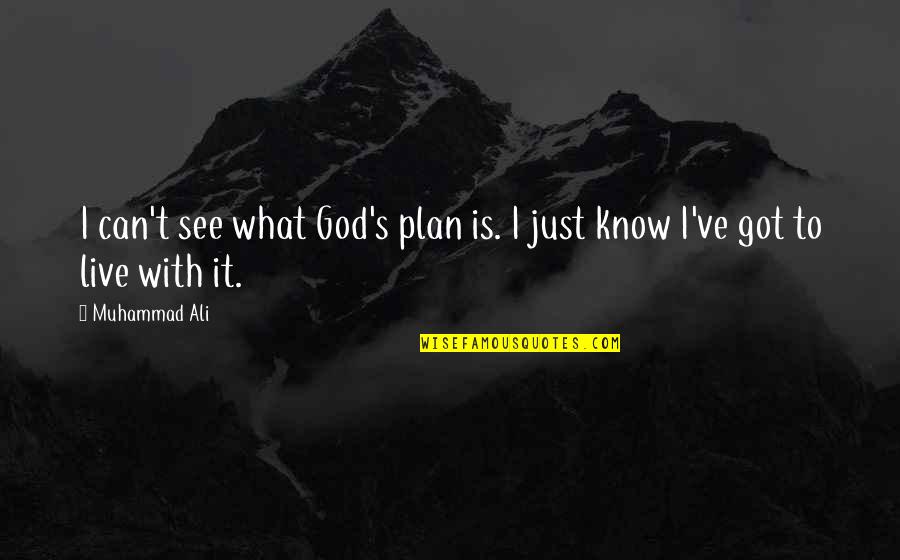 Can't Live Without God Quotes By Muhammad Ali: I can't see what God's plan is. I