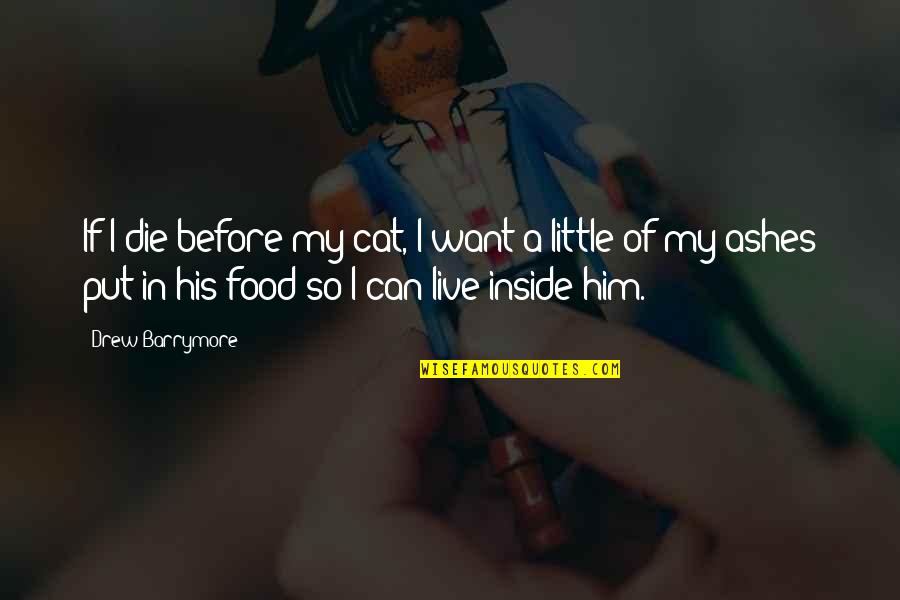 Can't Live Without Him Quotes By Drew Barrymore: If I die before my cat, I want