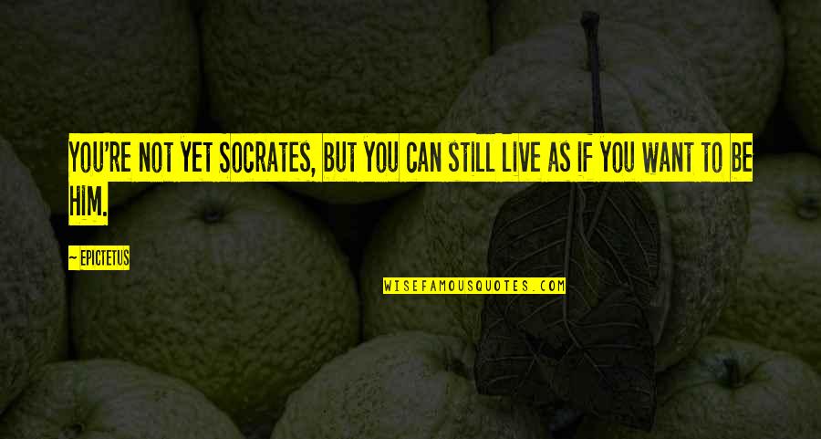 Can't Live Without Him Quotes By Epictetus: You're not yet Socrates, but you can still
