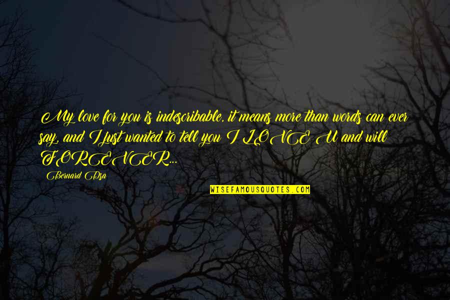 Can't Say I Love You Quotes By Bernard Dsa: My love for you is indescribable, it means