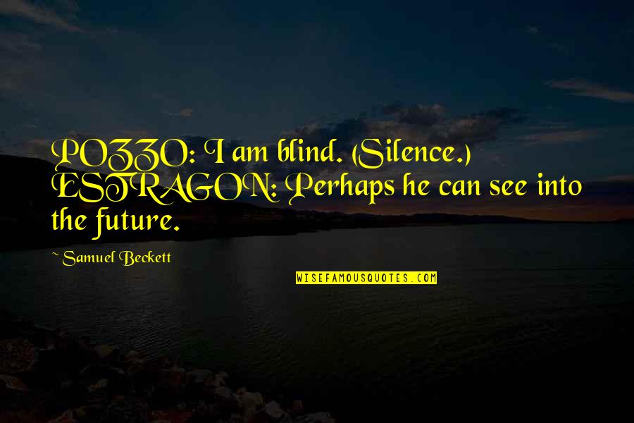 Can't See The Future Quotes By Samuel Beckett: POZZO: I am blind. (Silence.) ESTRAGON: Perhaps he