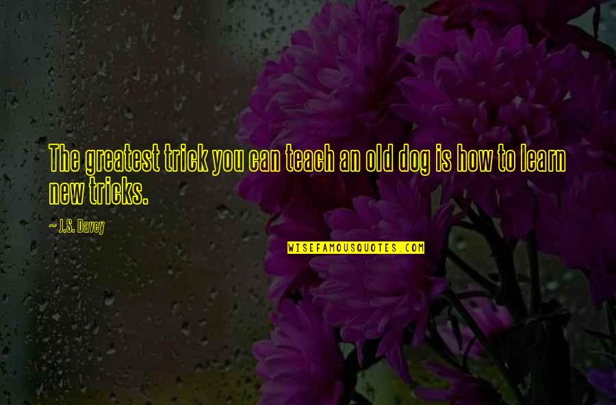 Can't Teach Old Dog New Tricks Quotes By J.S. Davey: The greatest trick you can teach an old