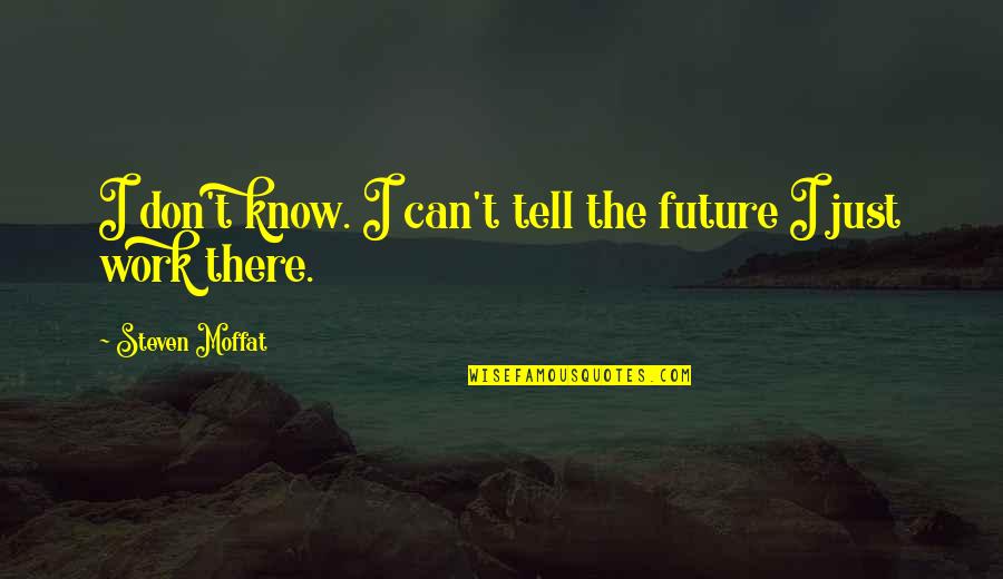 Can't Tell The Future Quotes By Steven Moffat: I don't know. I can't tell the future