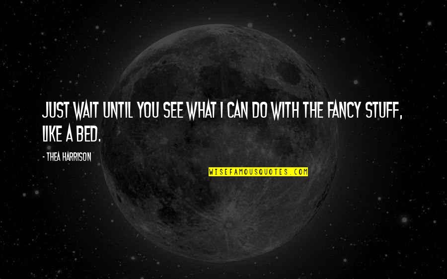 Can't Wait See You Quotes By Thea Harrison: Just wait until you see what I can