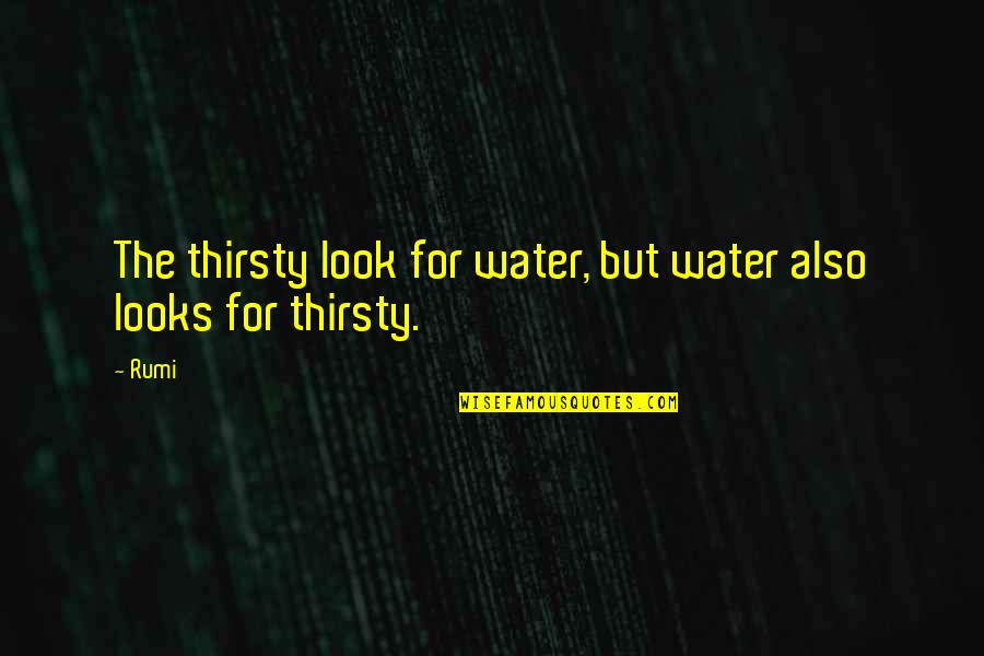 Can't Wait To Make Love To You Quotes By Rumi: The thirsty look for water, but water also