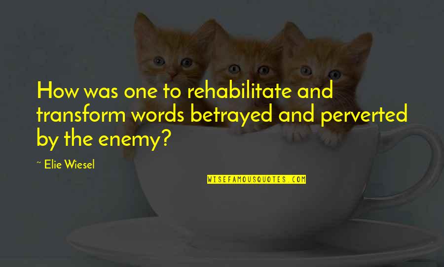 Cantacuzino Targoviste Quotes By Elie Wiesel: How was one to rehabilitate and transform words