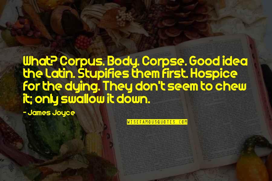 Canteen Boy Quotes By James Joyce: What? Corpus. Body. Corpse. Good idea the Latin.