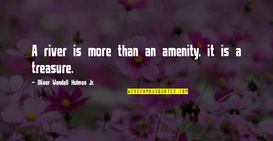 Canteine Quotes By Oliver Wendell Holmes Jr.: A river is more than an amenity, it