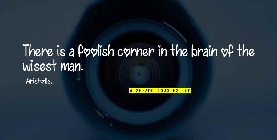 Cantonese Motivational Quotes By Aristotle.: There is a foolish corner in the brain