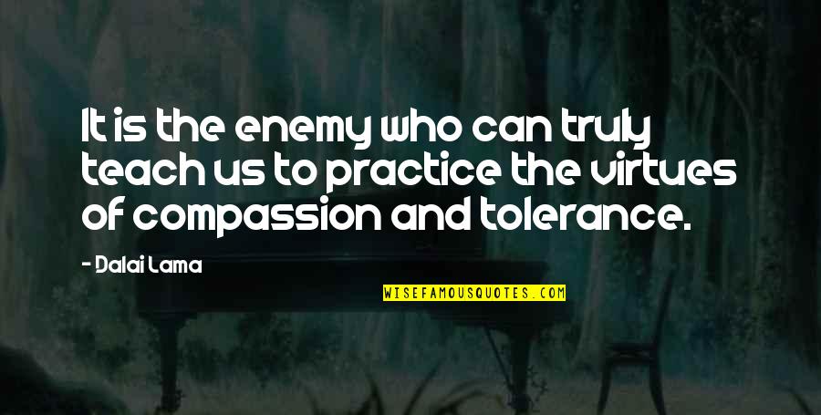 Cantonize Quotes By Dalai Lama: It is the enemy who can truly teach