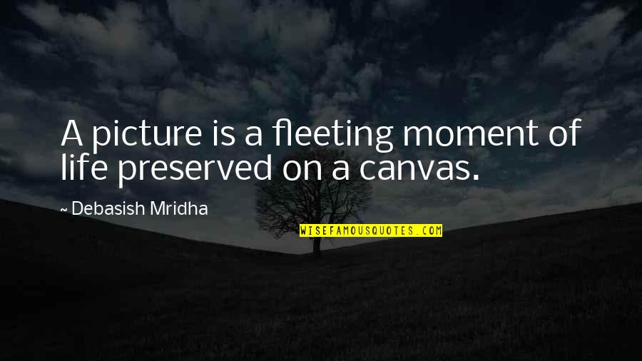 Canvas Art Life Quotes By Debasish Mridha: A picture is a fleeting moment of life
