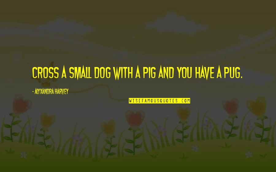 Canvasthat Quotes By Alyxandra Harvey: Cross a small dog with a pig and