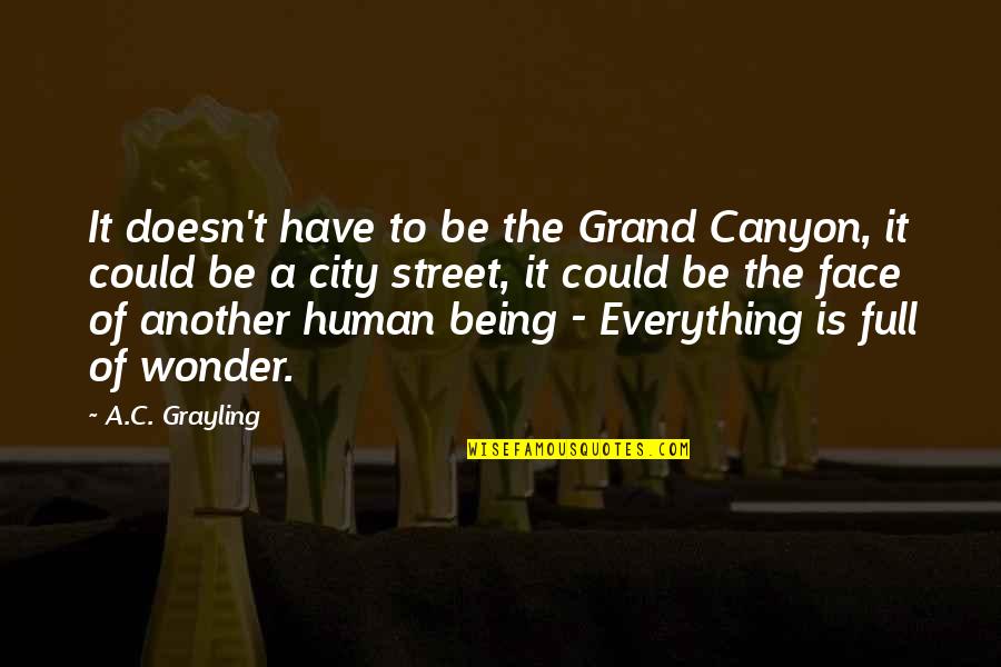 Canyon Quotes By A.C. Grayling: It doesn't have to be the Grand Canyon,