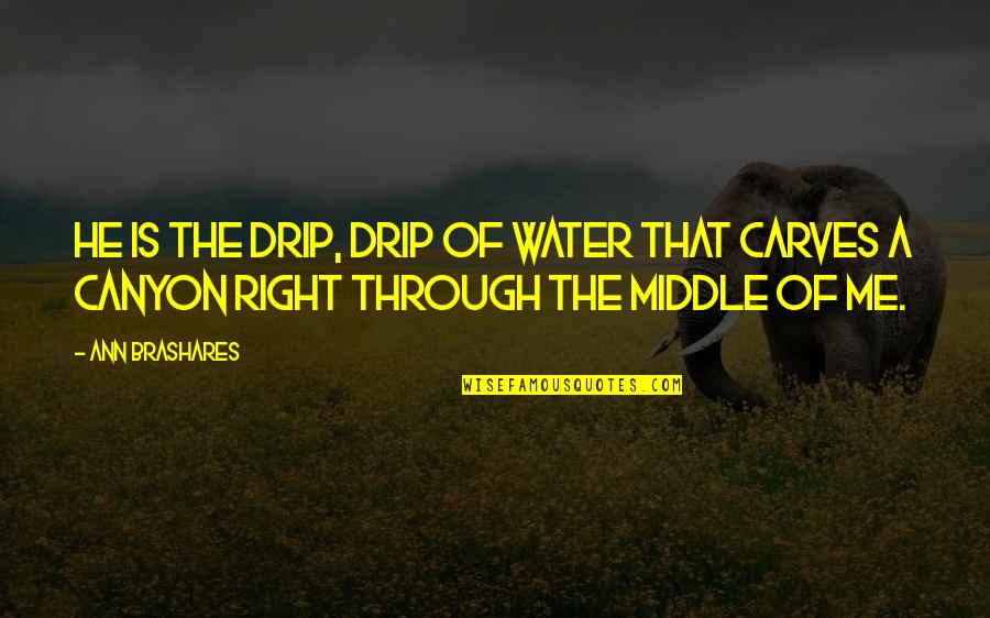 Canyon Quotes By Ann Brashares: He is the drip, drip of water that