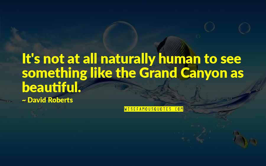 Canyon Quotes By David Roberts: It's not at all naturally human to see