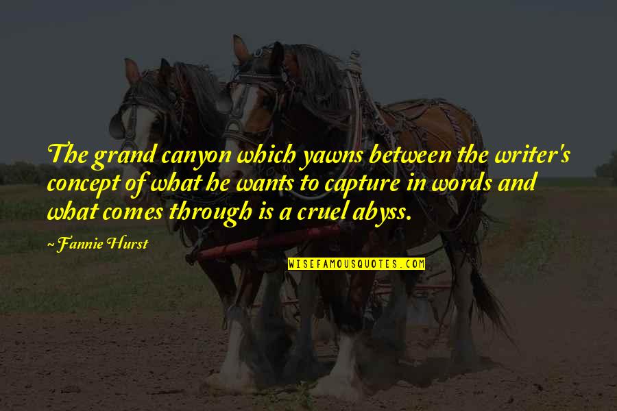 Canyon Quotes By Fannie Hurst: The grand canyon which yawns between the writer's